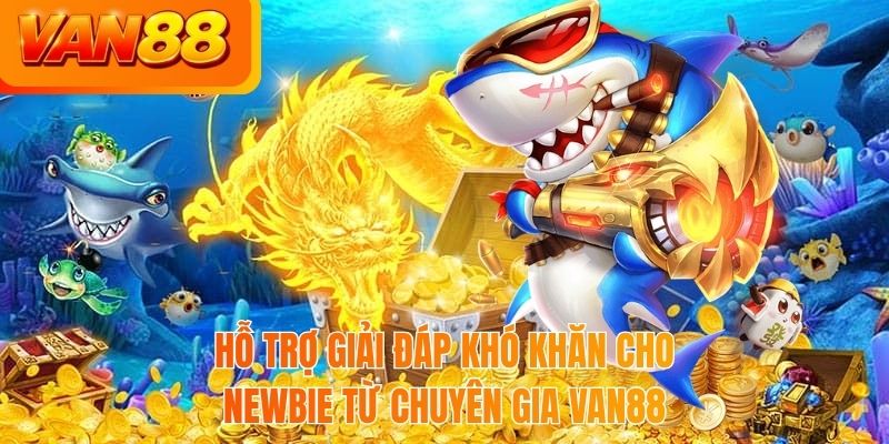 Hỗ trợ giải đáp khó khăn cho newbie từ chuyên gia VAN88